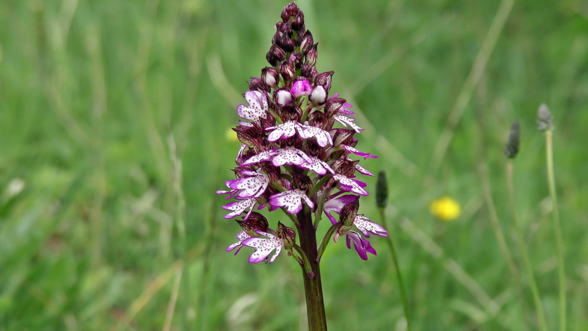 05-09-2015_133535(1)p_Bildgr��e �ndern