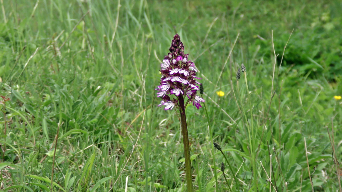 05-09-2015_133535(2)p_Bildgr��e �ndern