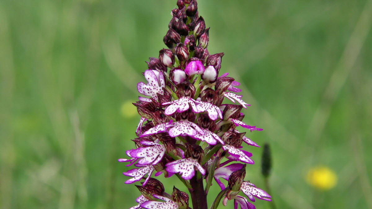 05-09-2015_133535p_Bildgr��e �ndern