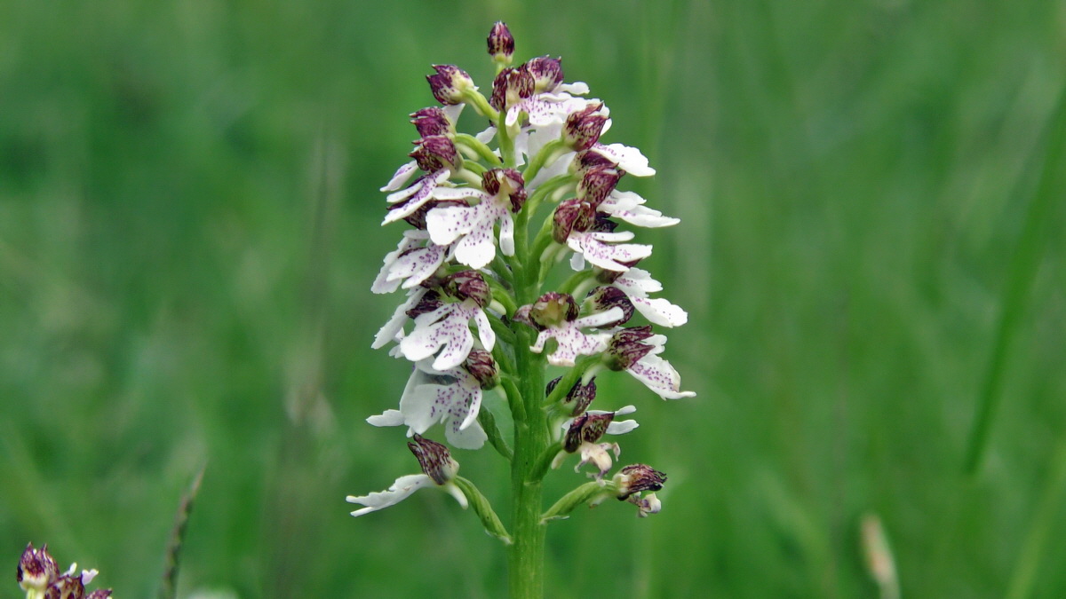 05-09-2015_133723(1)p_Bildgr��e �ndern