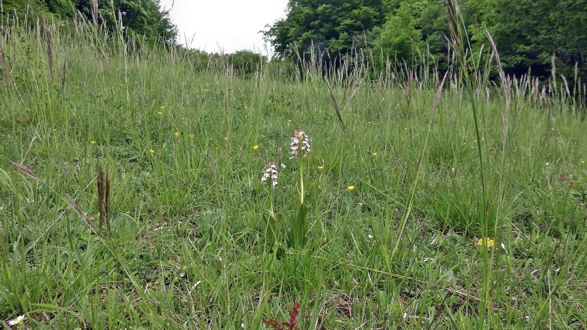 05-09-2015_133723p_Bildgr��e �ndern