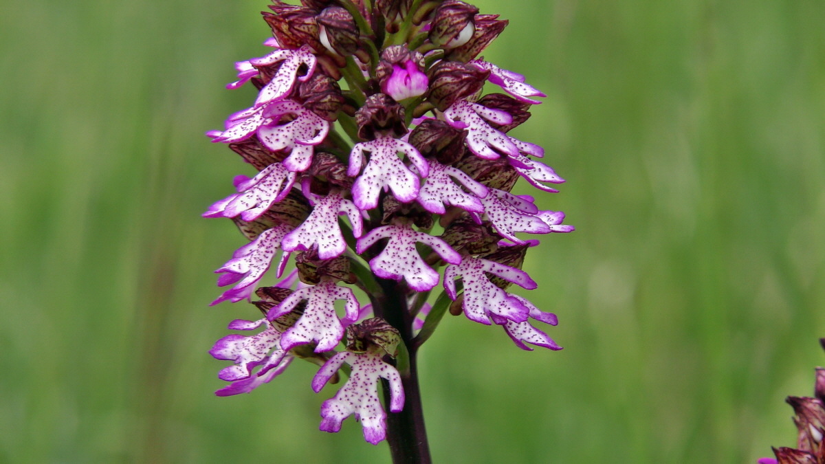 05-09-2015_133837p_Bildgr��e �ndern