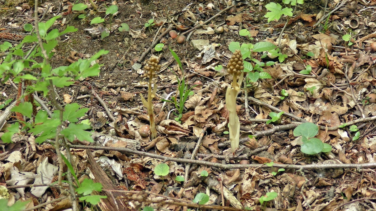 05-09-2015_134916p_Bildgr��e �ndern