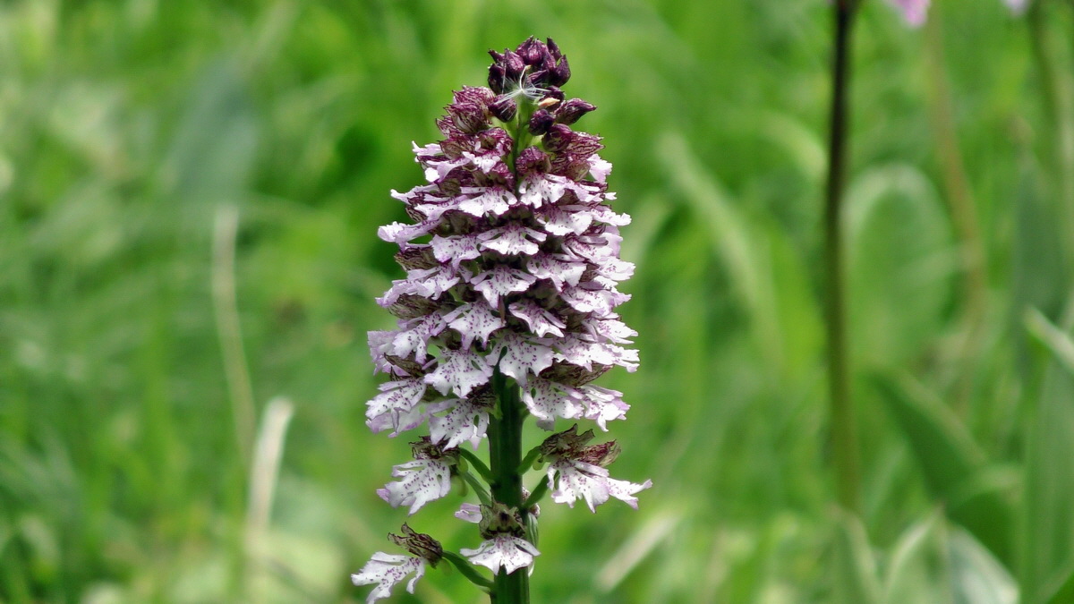 05-09-2015_141054p_Bildgr��e �ndern