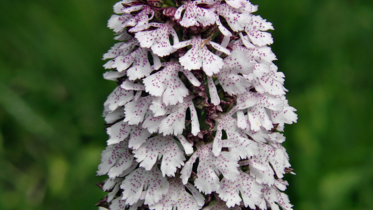 05-09-2015_141247p_Bildgr��e �ndern