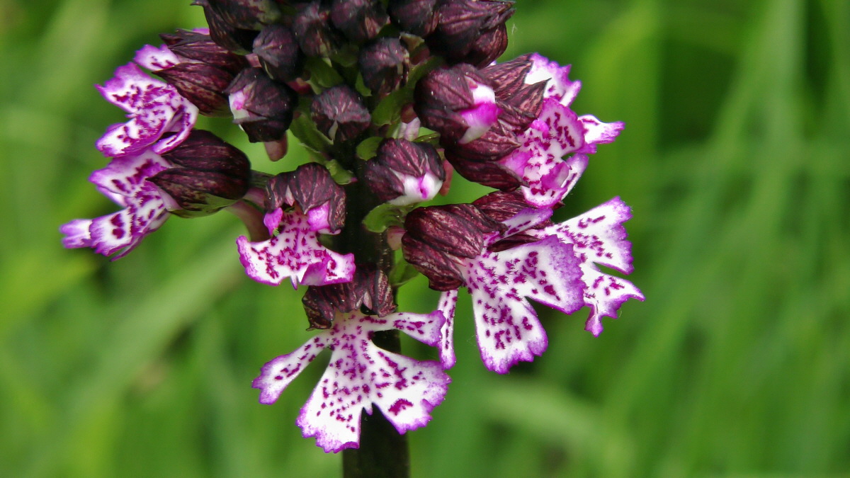 05-09-2015_141342p_Bildgr��e �ndern