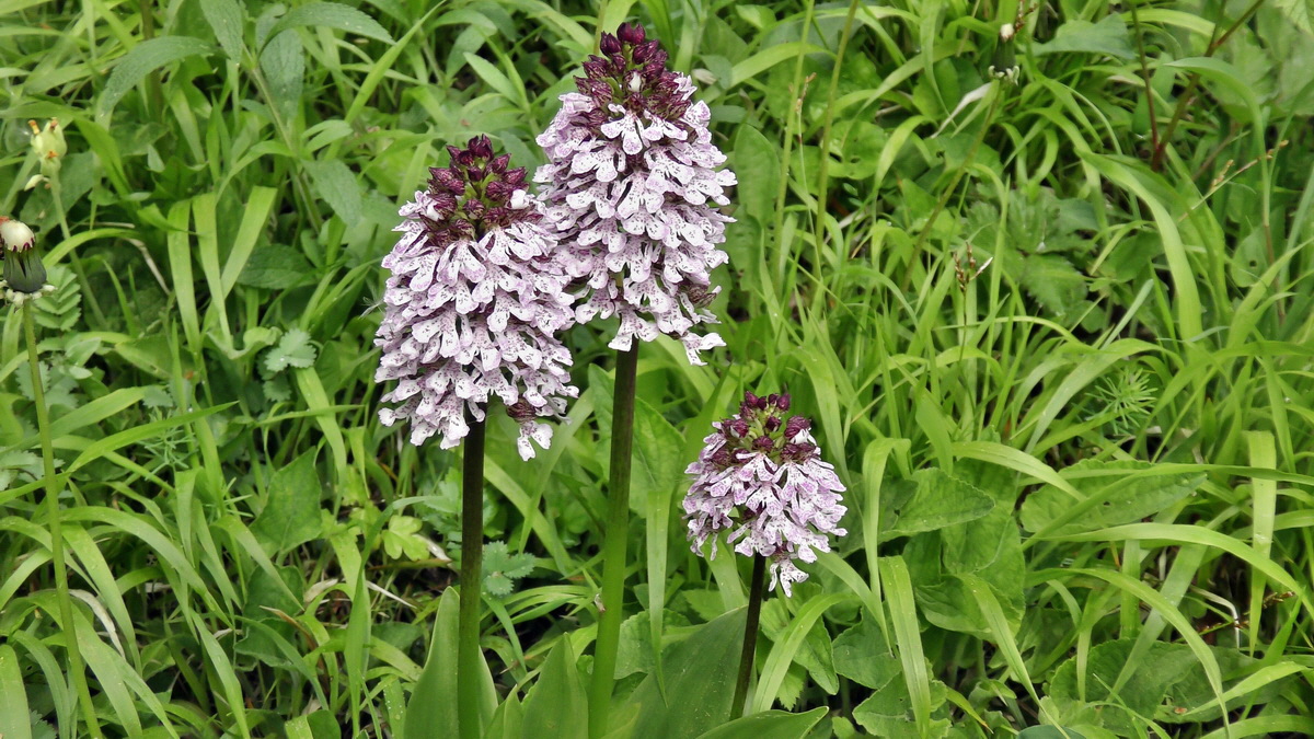 05-09-2015_141408(1)p_Bildgr��e �ndern