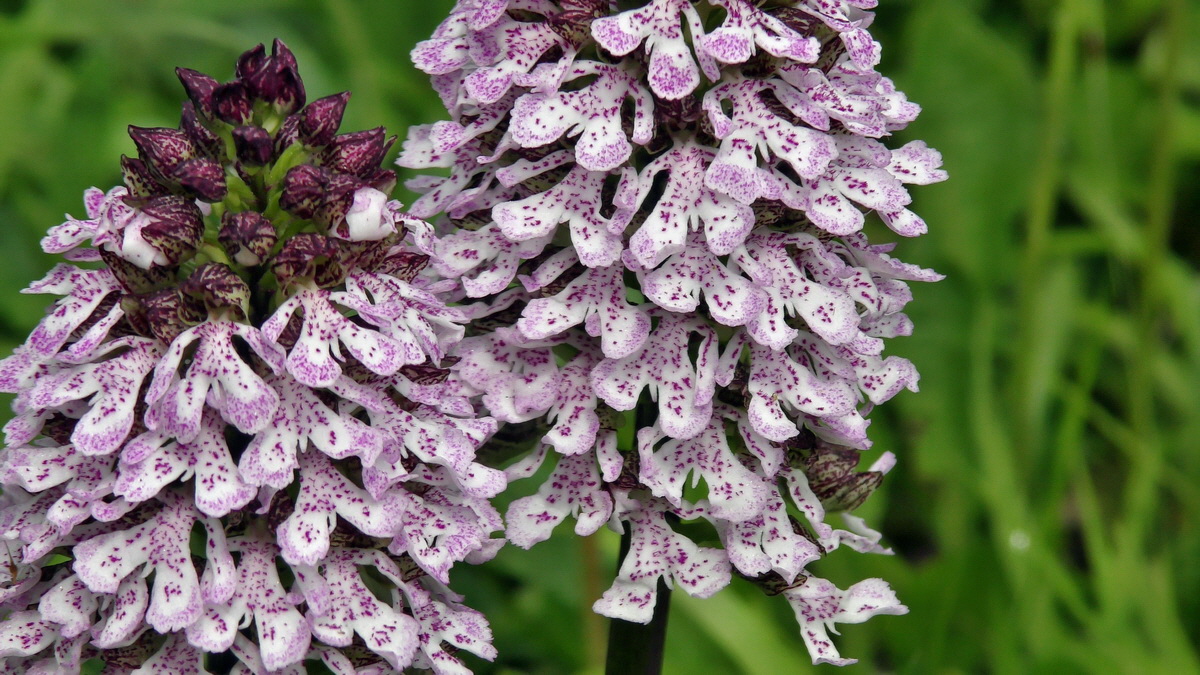 05-09-2015_141408p_Bildgr��e �ndern