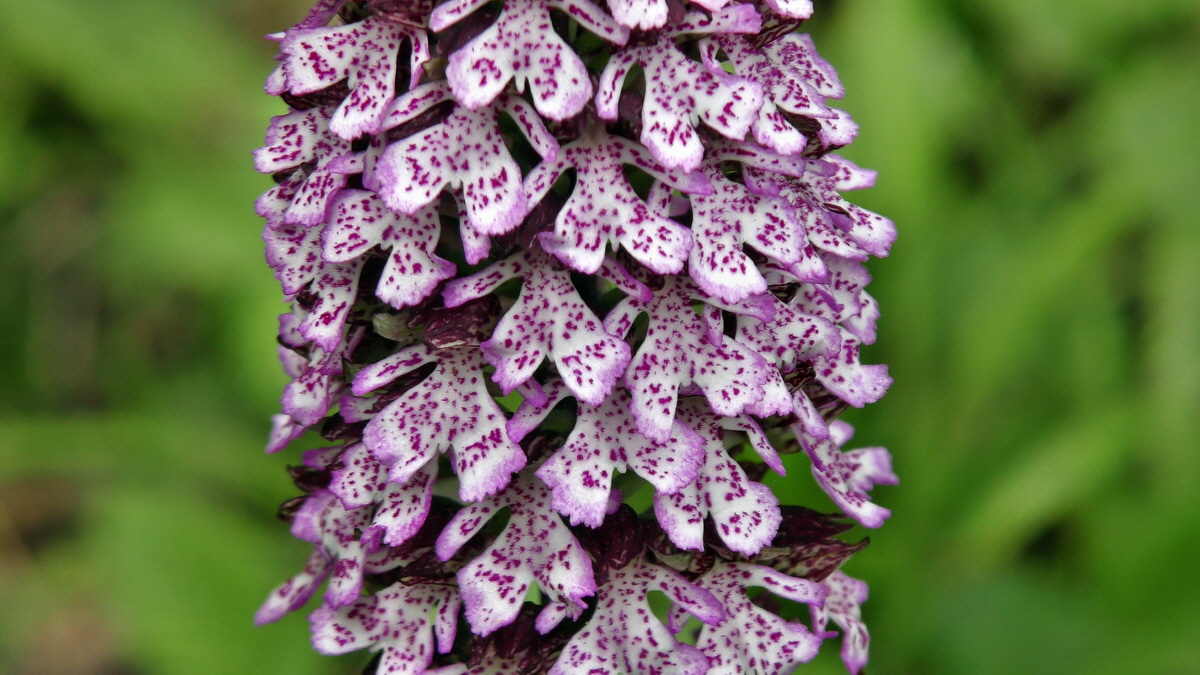 05-09-2015_141710p_Bildgr��e �ndern