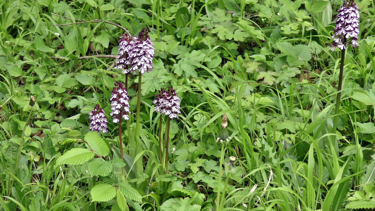 05-09-2015_141828p_Bildgr��e �ndern