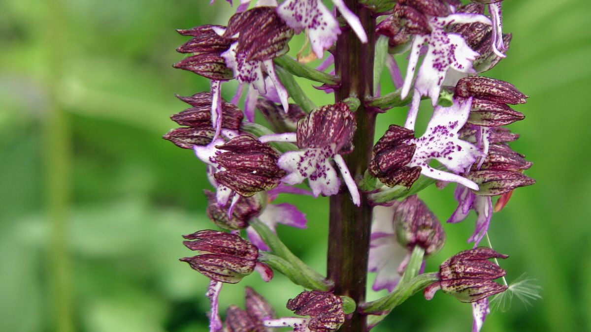 05-09-2015_142056(1)p_Bildgr��e �ndern