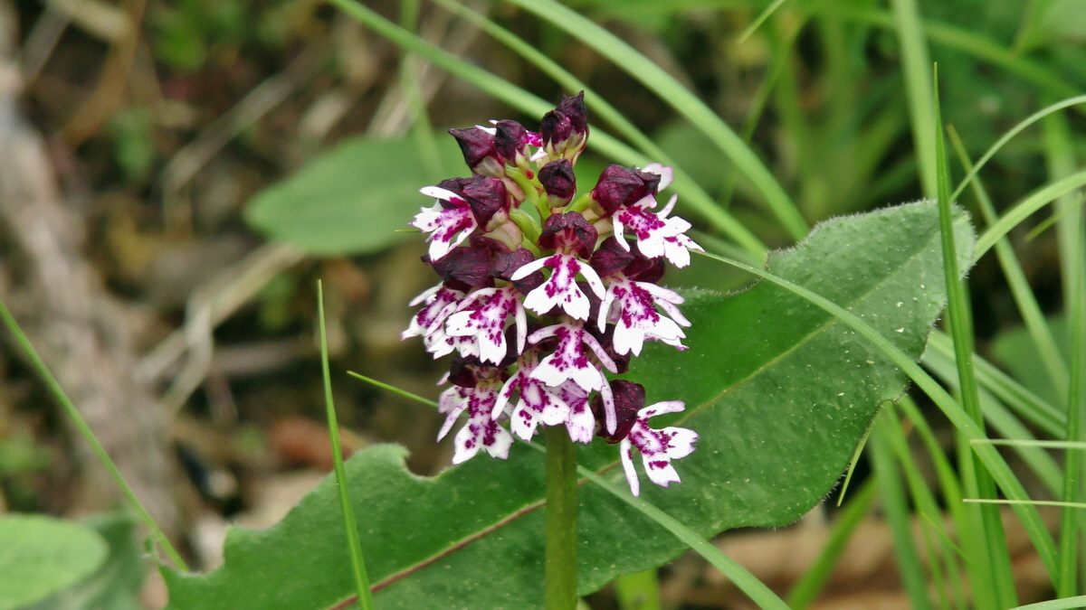 05-09-2015_142206p_Bildgr��e �ndern