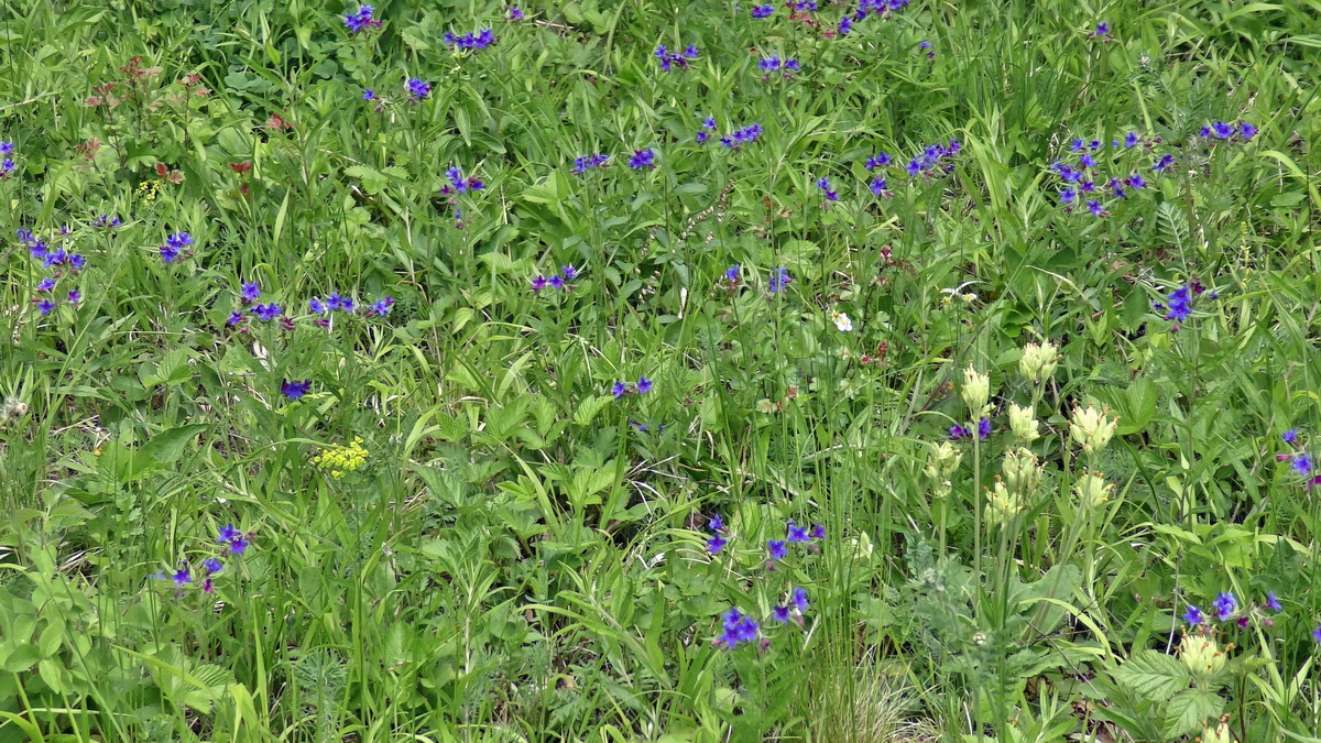 05-09-2015_142740p_Bildgr��e �ndern