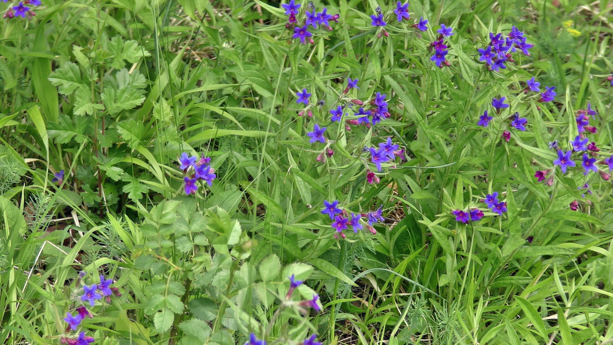 05-09-2015_142811p_Bildgr��e �ndern