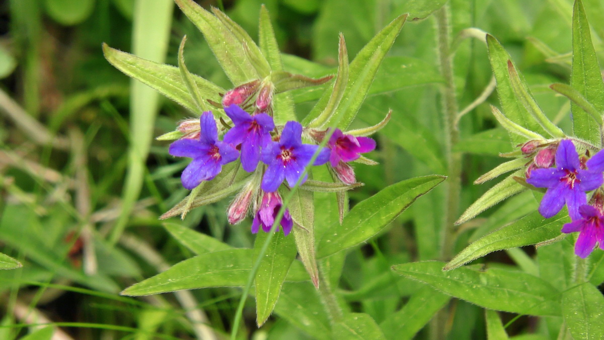 05-09-2015_142839p_Bildgr��e �ndern