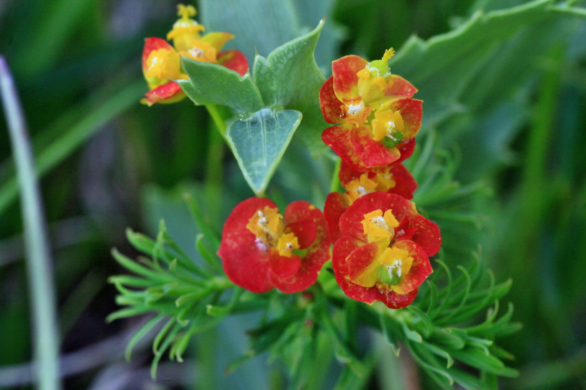 2015_05_09_00018859p_Bildgr��e �ndern