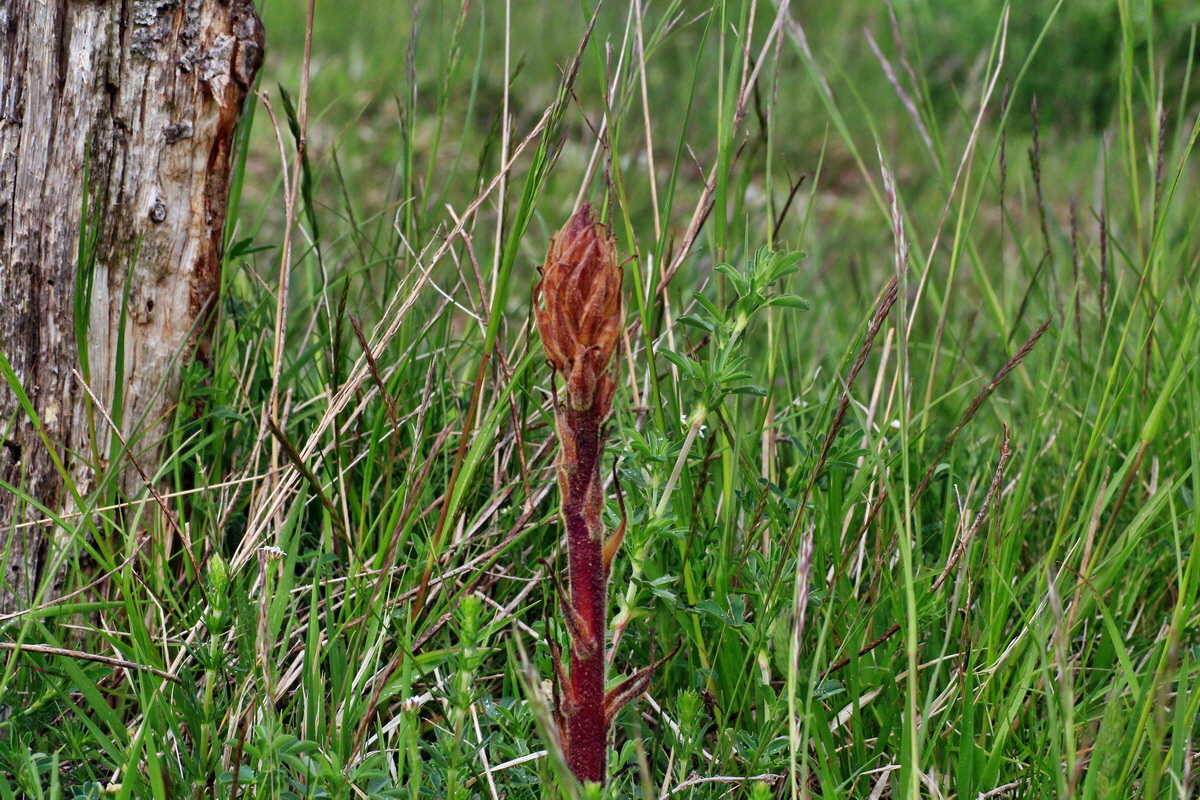 2015_05_09_00018863p_Bildgr��e �ndern