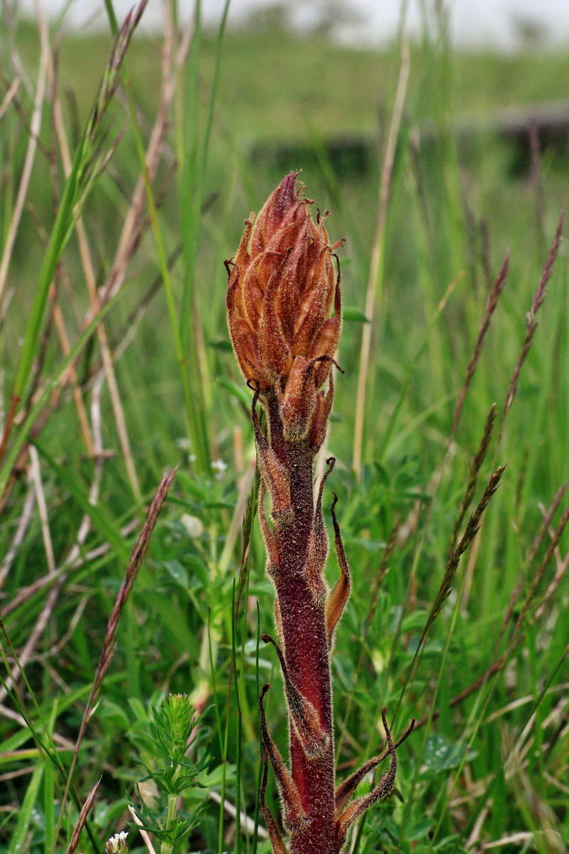 2015_05_09_00018866p_Bildgr��e �ndern