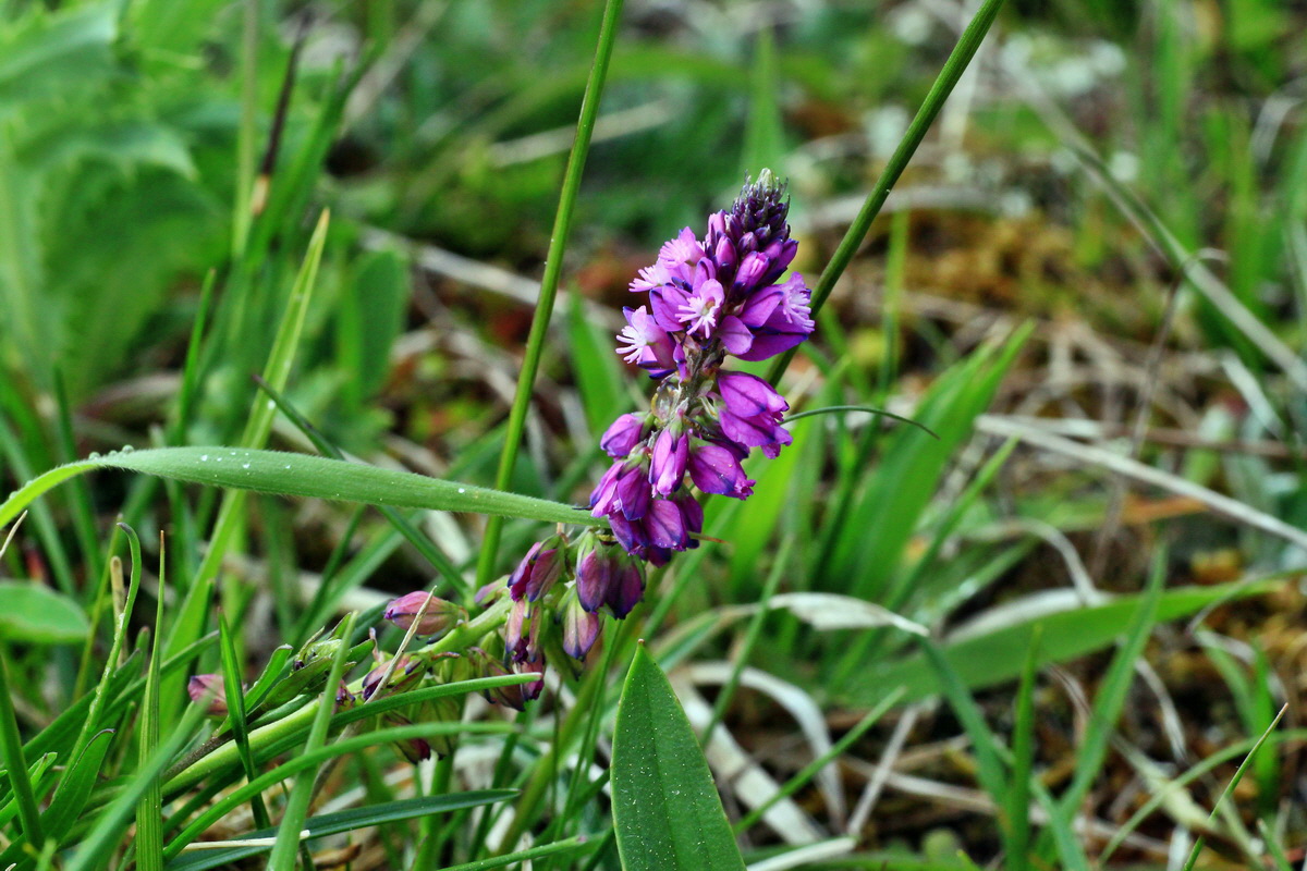 2015_05_09_00018868p_Bildgr��e �ndern