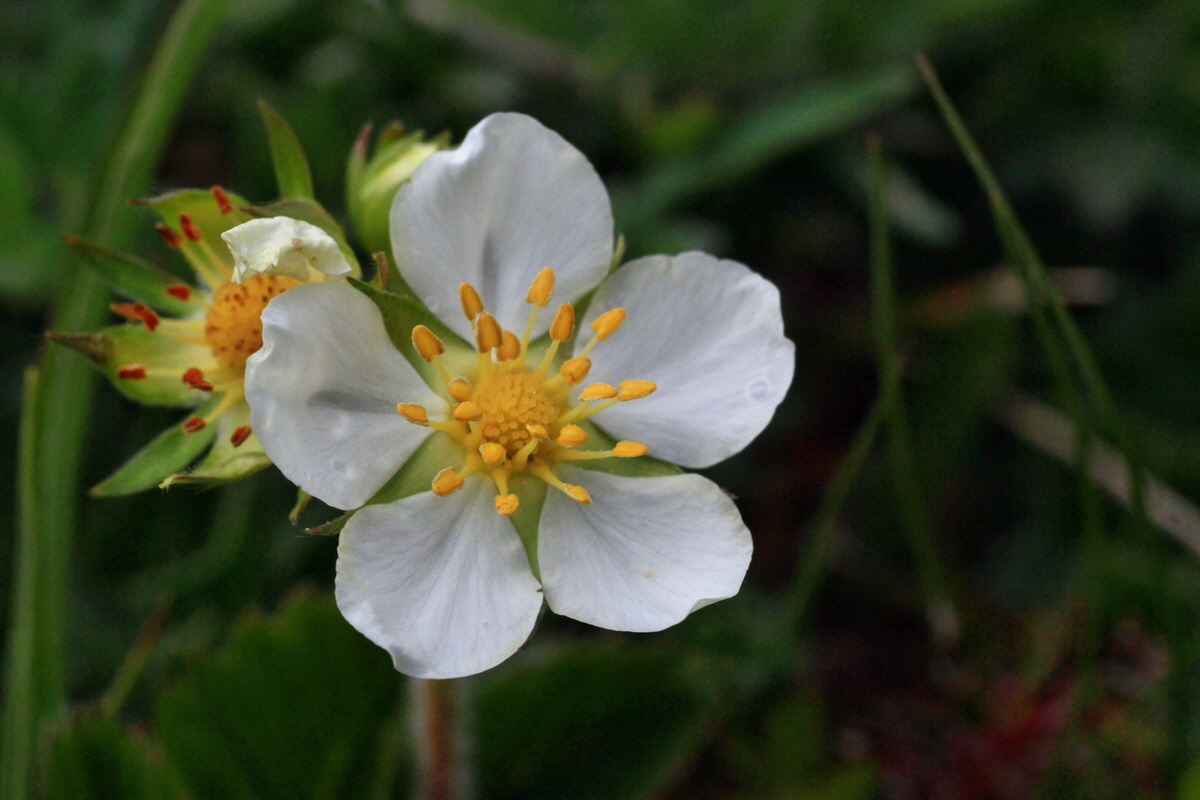 2015_05_09_00018871p_Bildgr��e �ndern