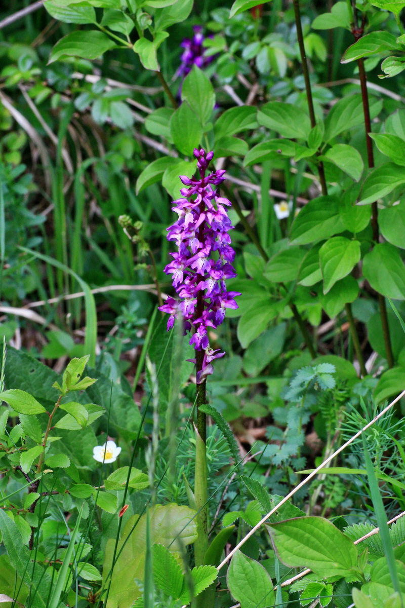 2015_05_09_00018880p_Bildgr��e �ndern