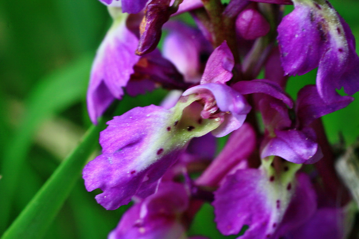 2015_05_09_00018885p_Bildgr��e �ndern