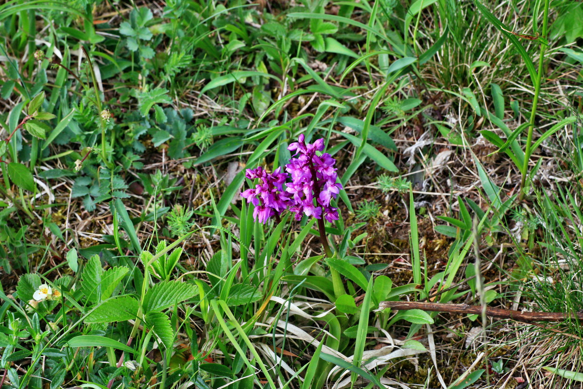 2015_05_09_00018892p_Bildgr��e �ndern