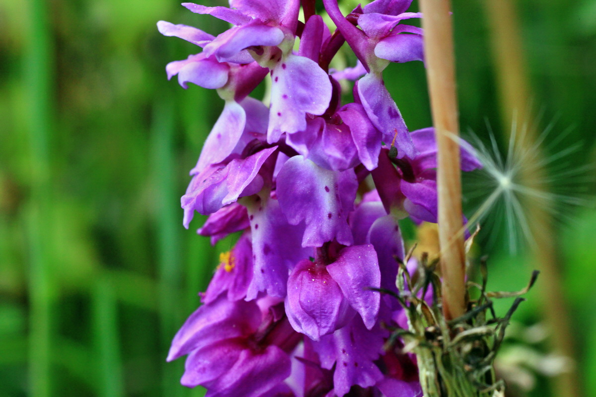 2015_05_09_00018909p_Bildgr��e �ndern