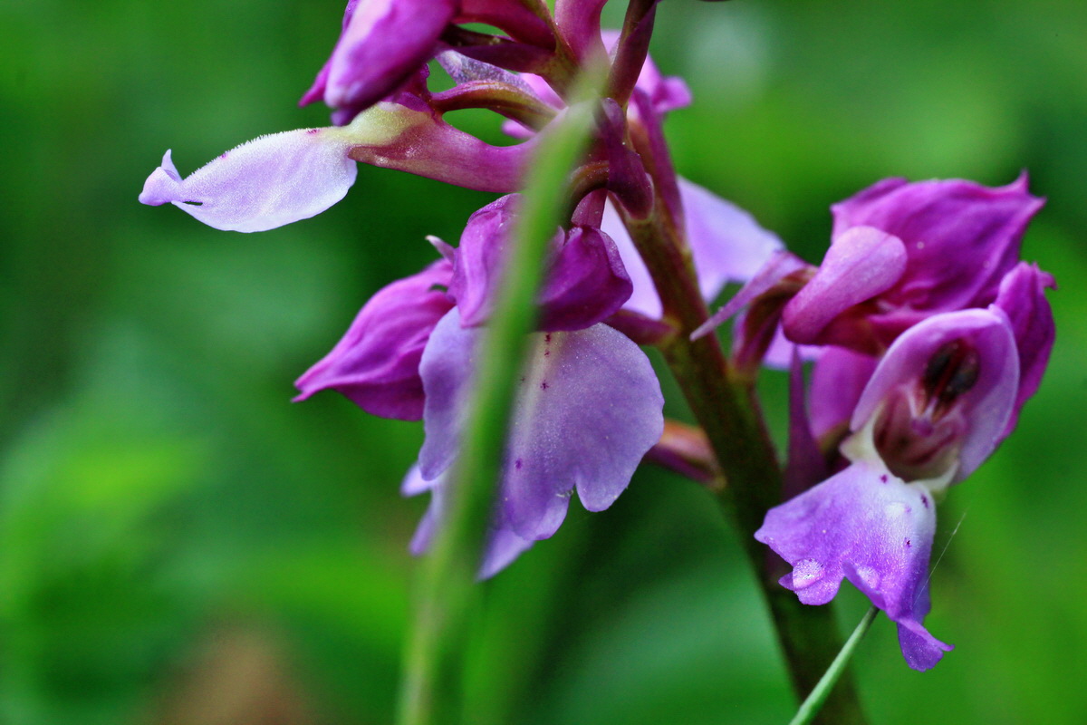 2015_05_09_00018912p_Bildgr��e �ndern