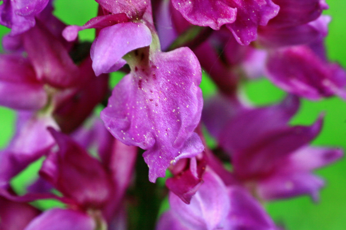 2015_05_09_00018917p_Bildgr��e �ndern