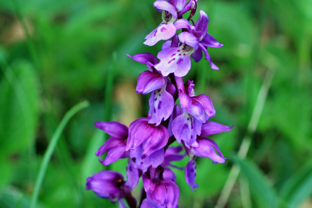 2015_05_09_00018922p_Bildgr��e �ndern