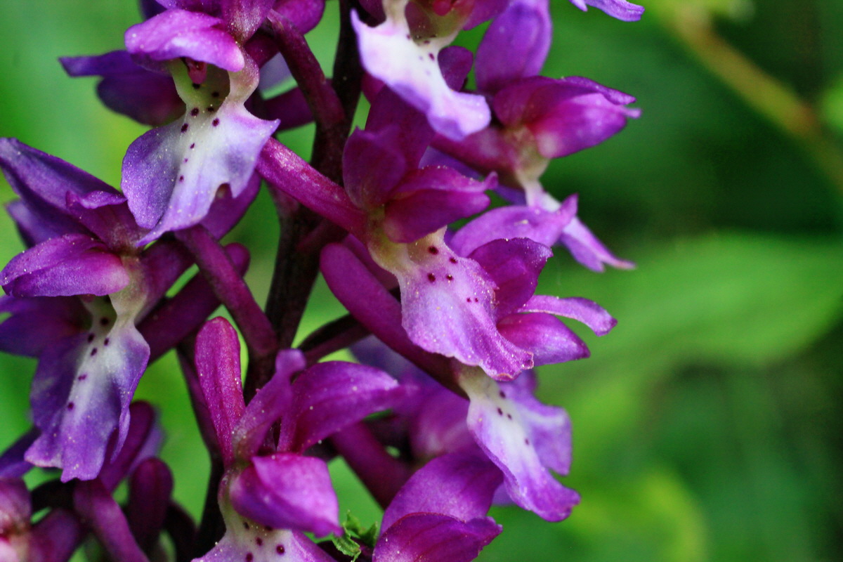 2015_05_09_00018923p_Bildgr��e �ndern