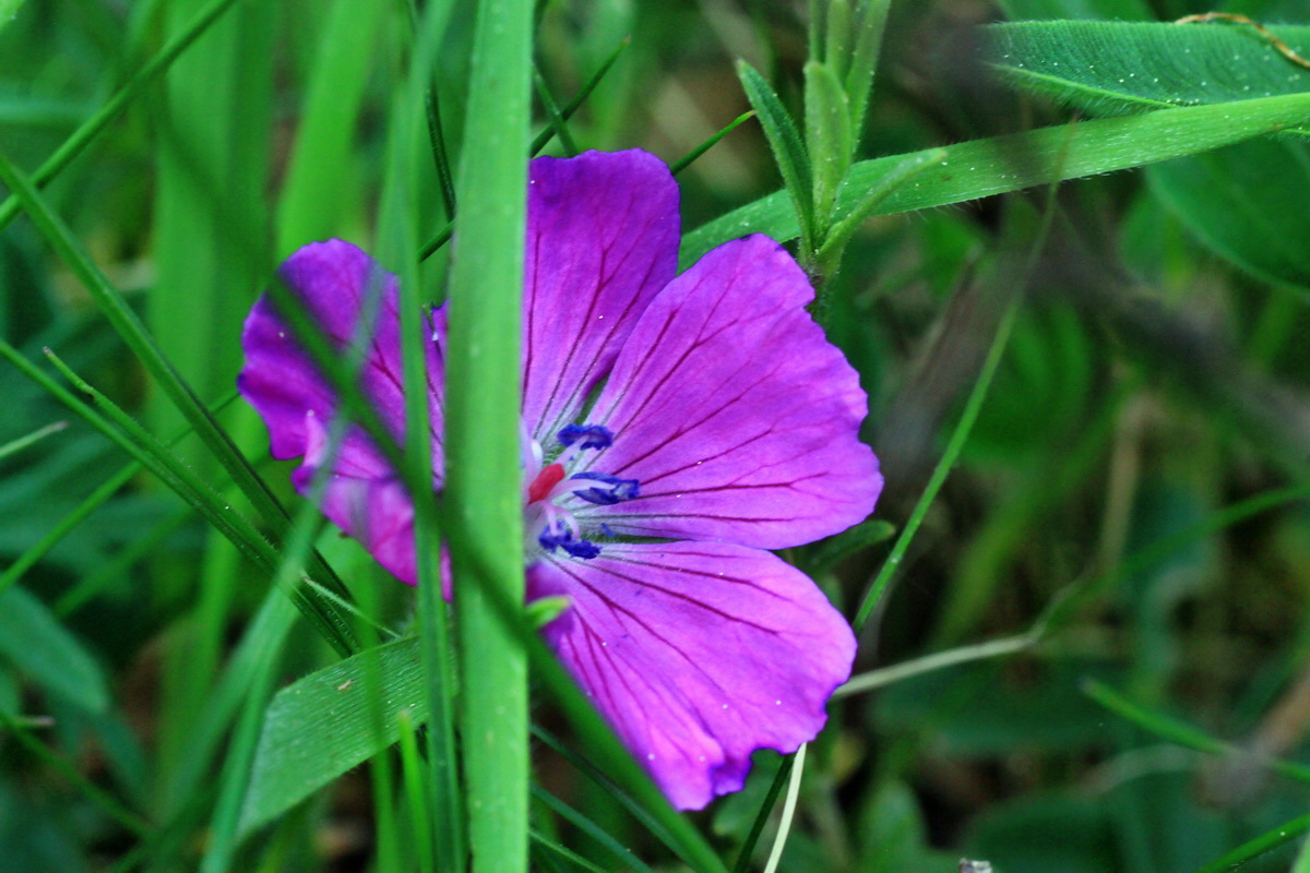 2015_05_09_00018926p_Bildgr��e �ndern