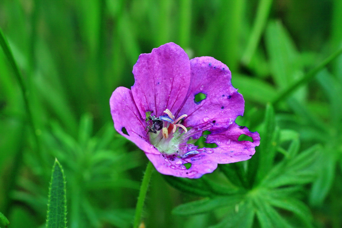 2015_05_09_00018928p_Bildgr��e �ndern