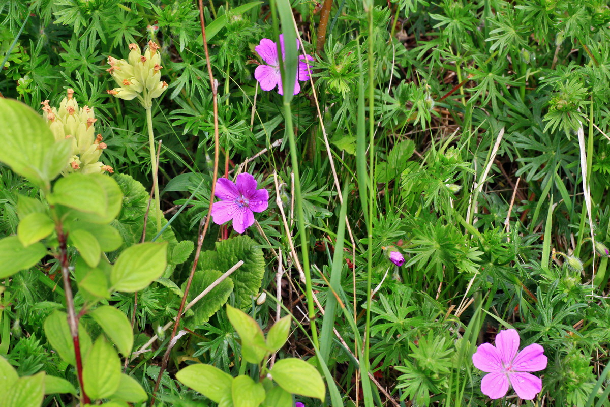 2015_05_09_00018931p_Bildgr��e �ndern