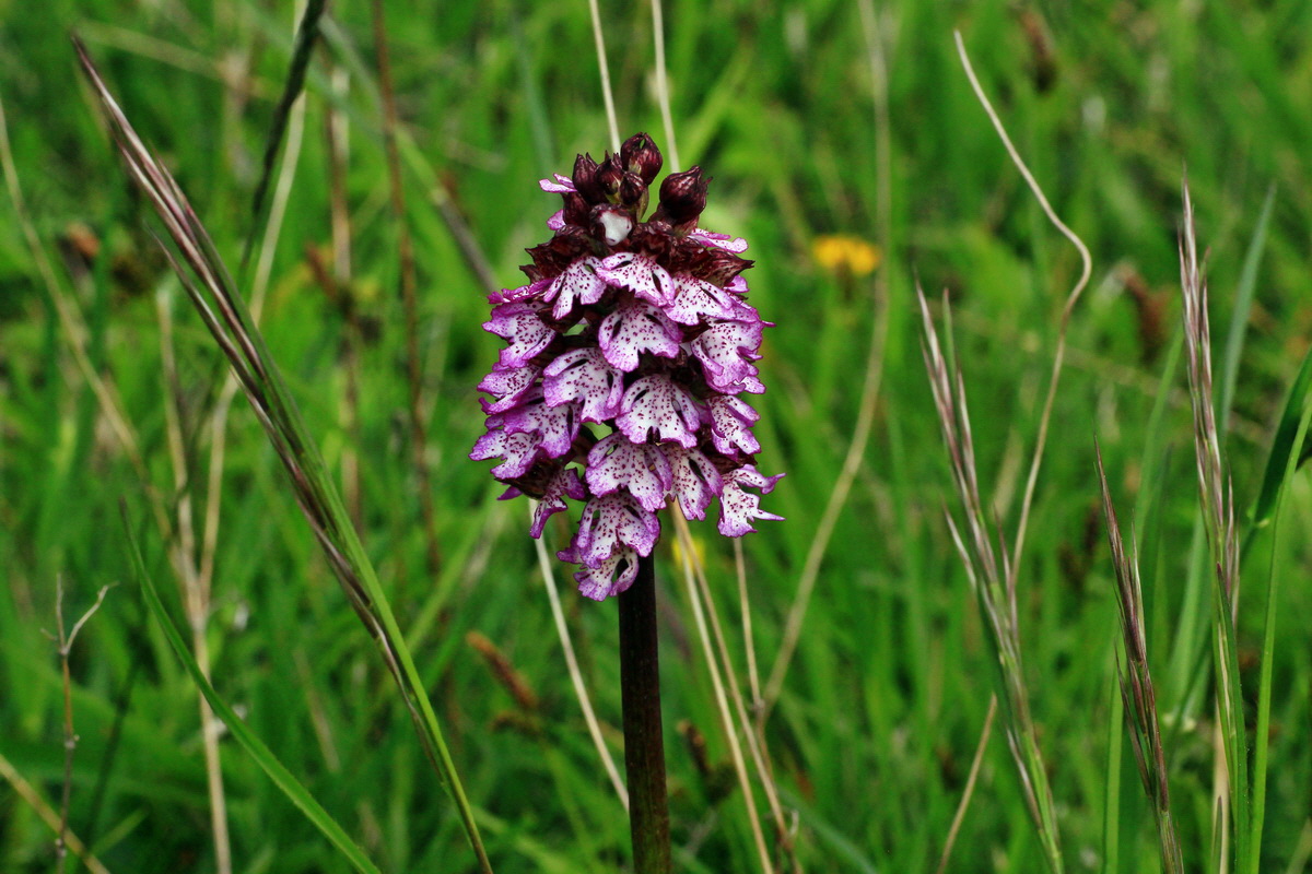 2015_05_09_00018936p_Bildgr��e �ndern