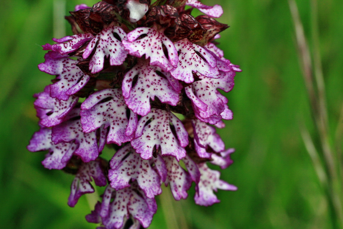 2015_05_09_00018938p_Bildgr��e �ndern