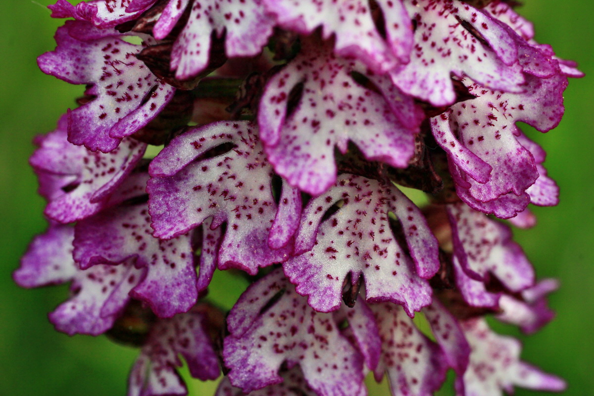 2015_05_09_00018940p_Bildgr��e �ndern