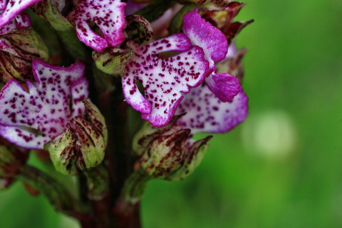 2015_05_09_00018944p_Bildgr��e �ndern