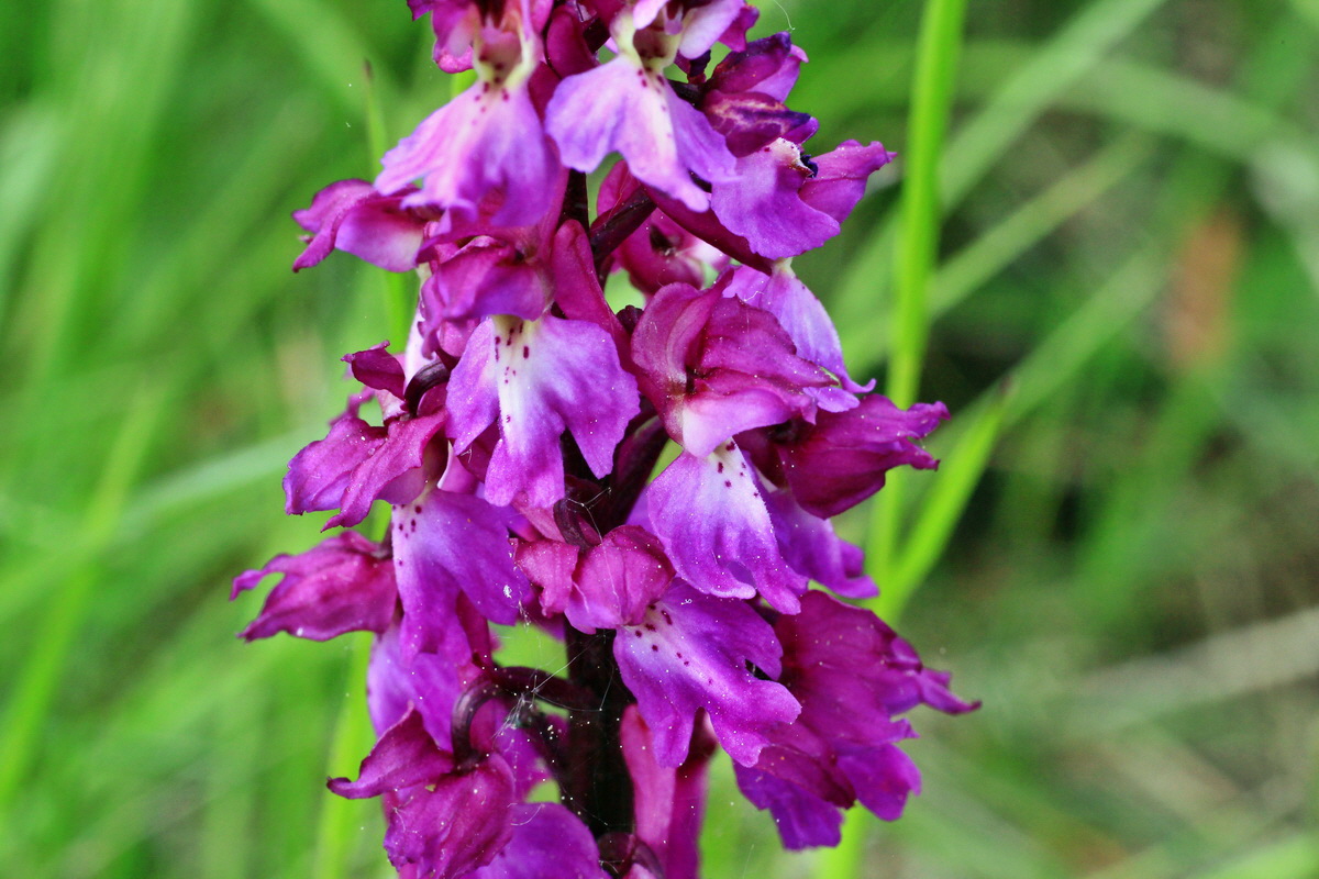 2015_05_09_00018948p_Bildgr��e �ndern