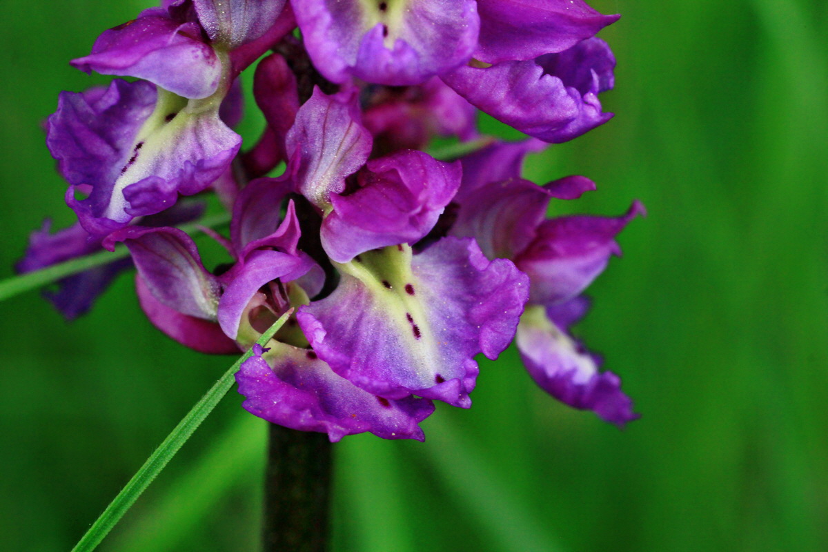 2015_05_09_00018956p_Bildgr��e �ndern