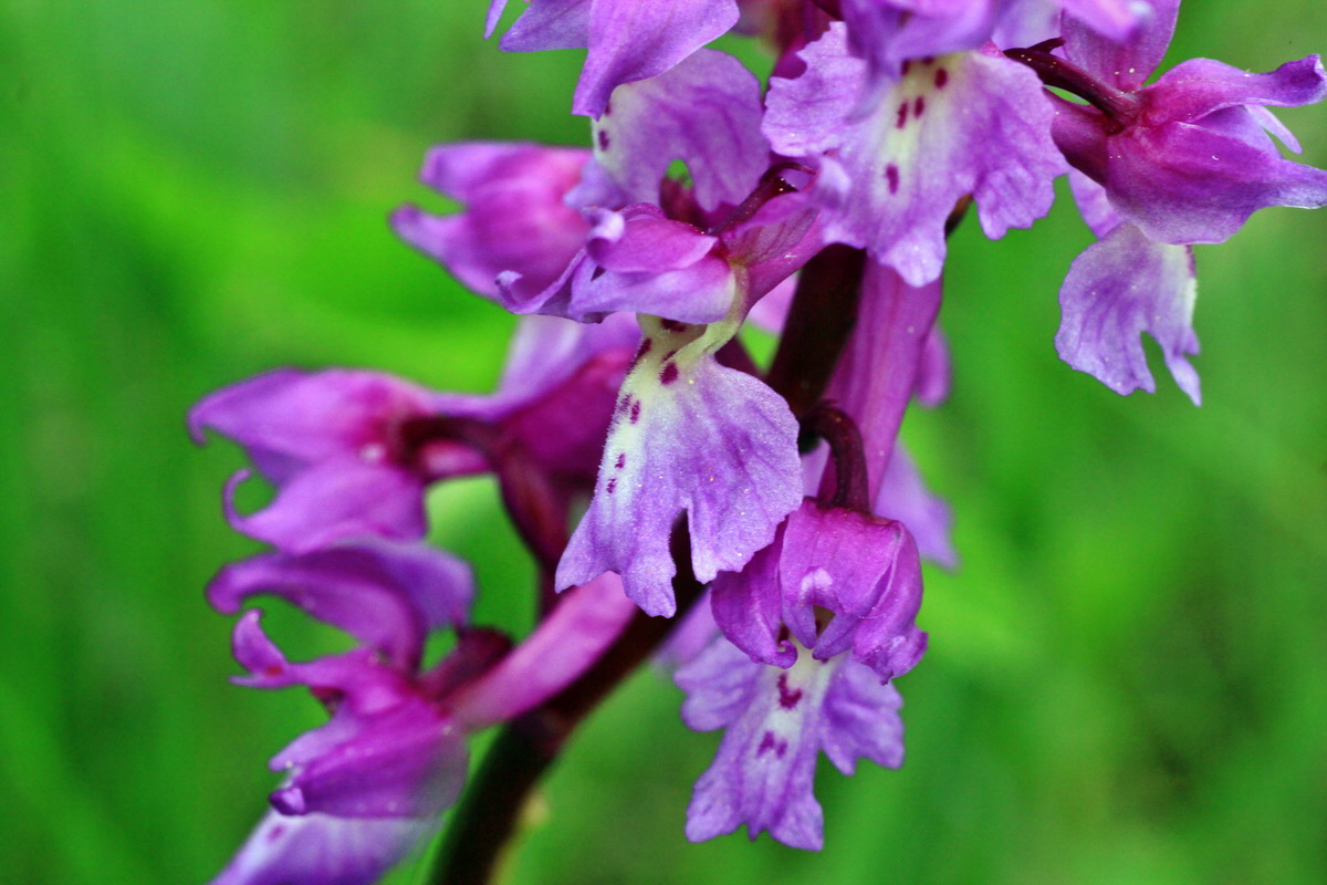 2015_05_09_00018961p_Bildgr��e �ndern