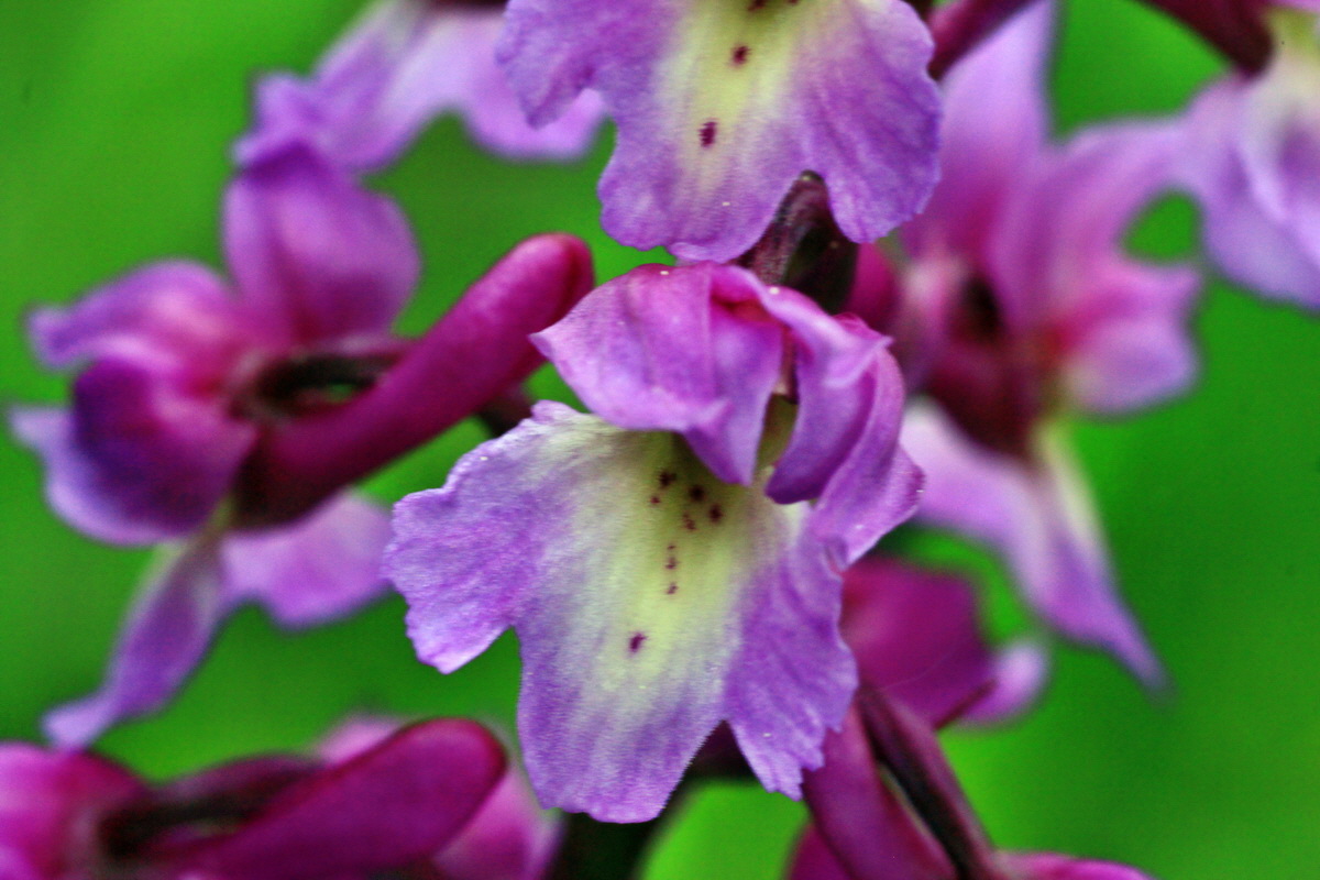 2015_05_09_00018963p_Bildgr��e �ndern