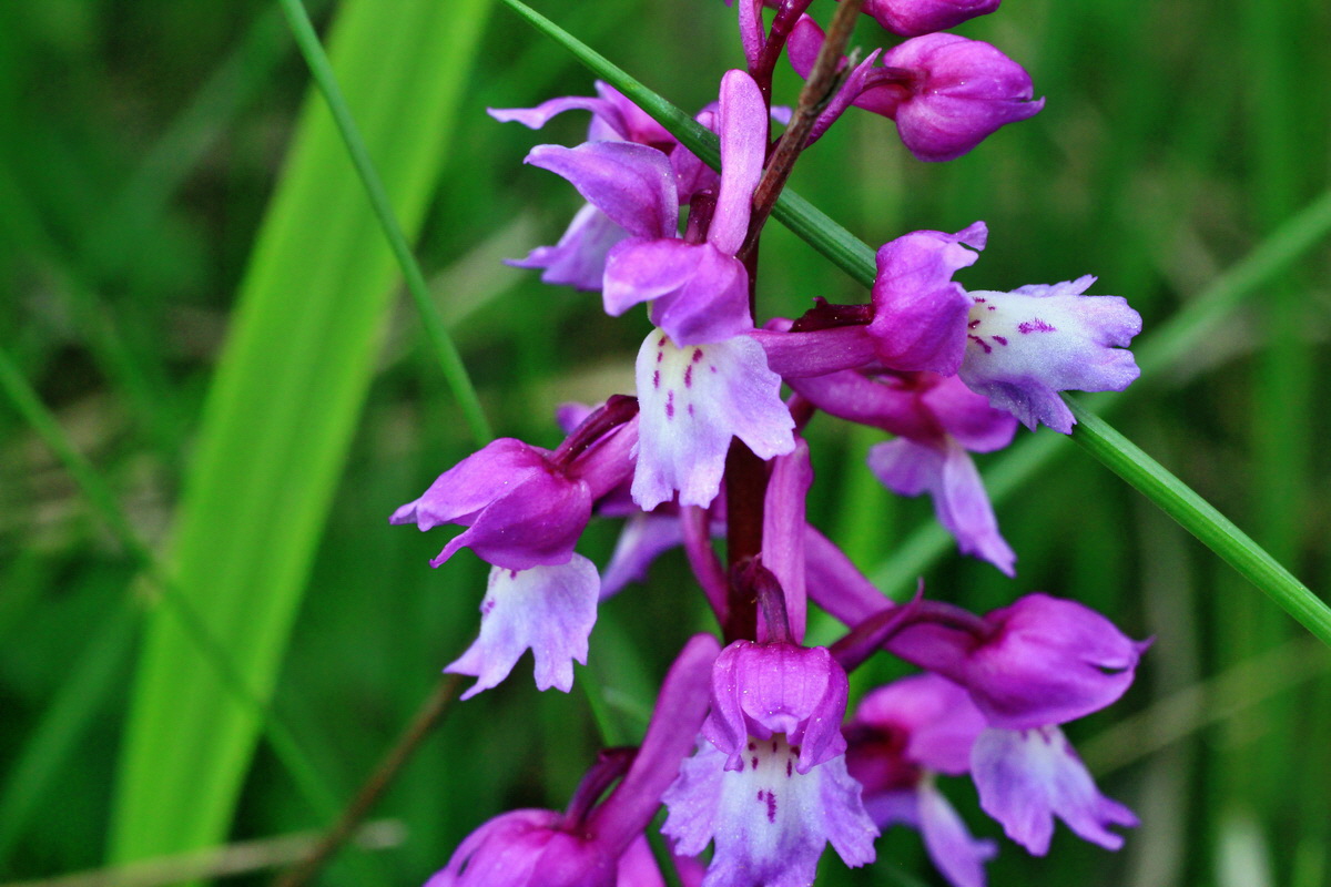 2015_05_09_00018967p_Bildgr��e �ndern