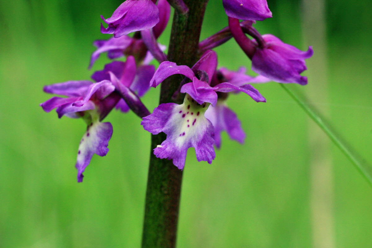 2015_05_09_00018976p_Bildgr��e �ndern