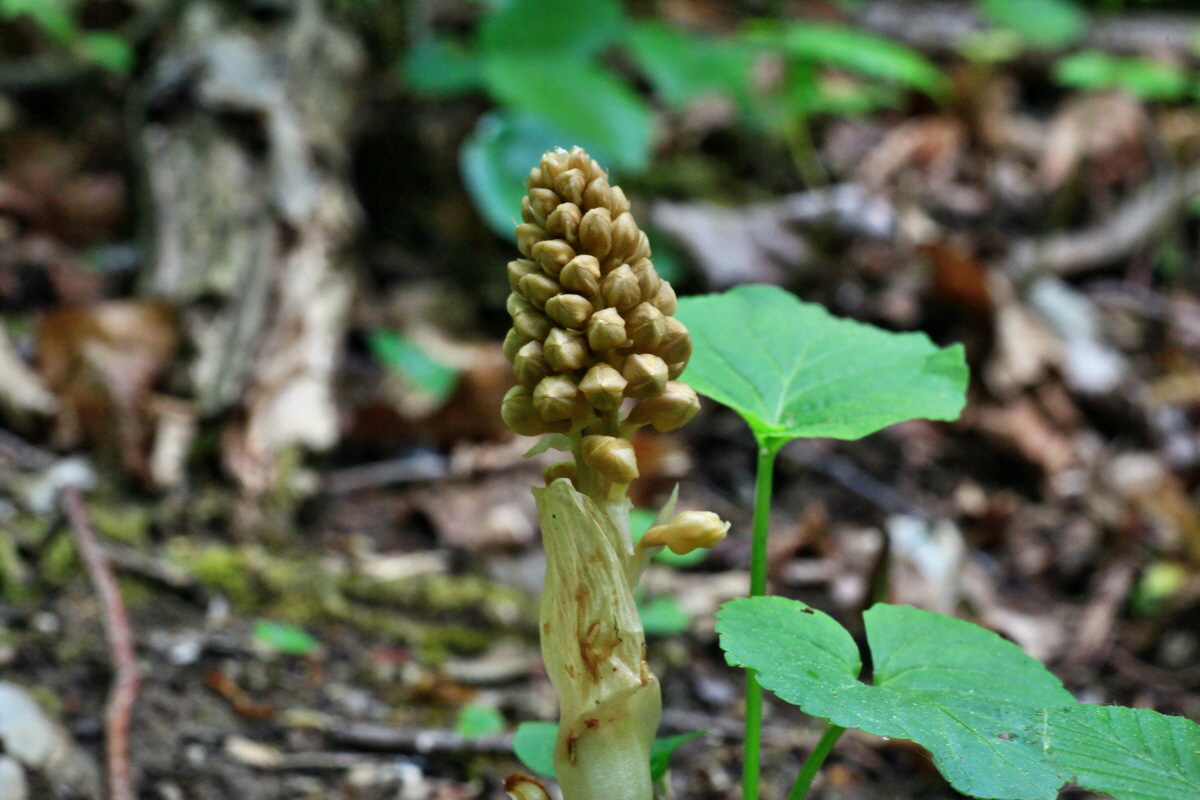 2015_05_09_00018981p_Bildgr��e �ndern