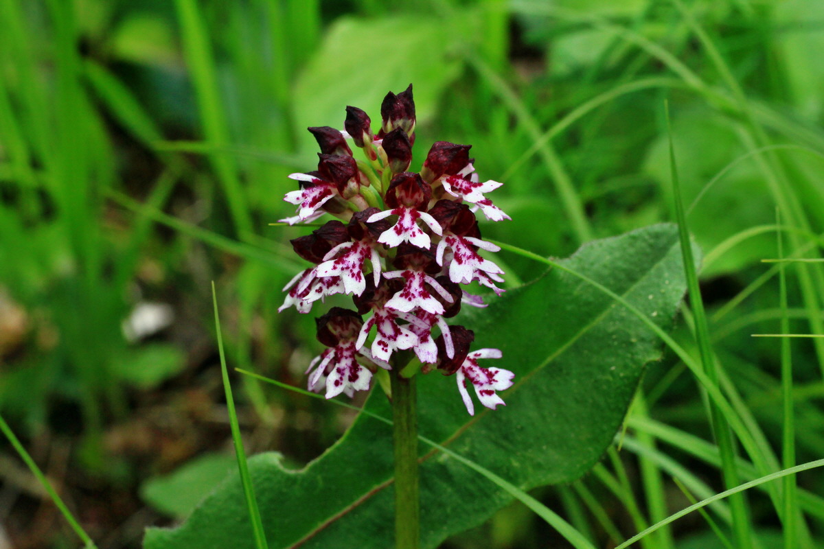 2015_05_09_00018987p_Bildgr��e �ndern