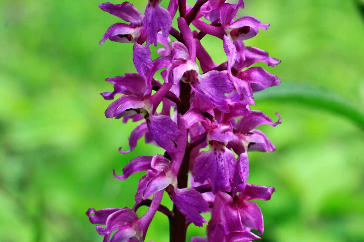 2015_05_09_00018988p_Bildgr��e �ndern