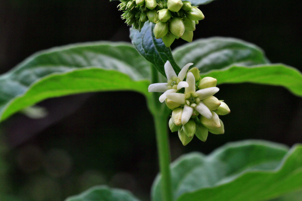 2015_05_09_00018991p_Bildgr��e �ndern