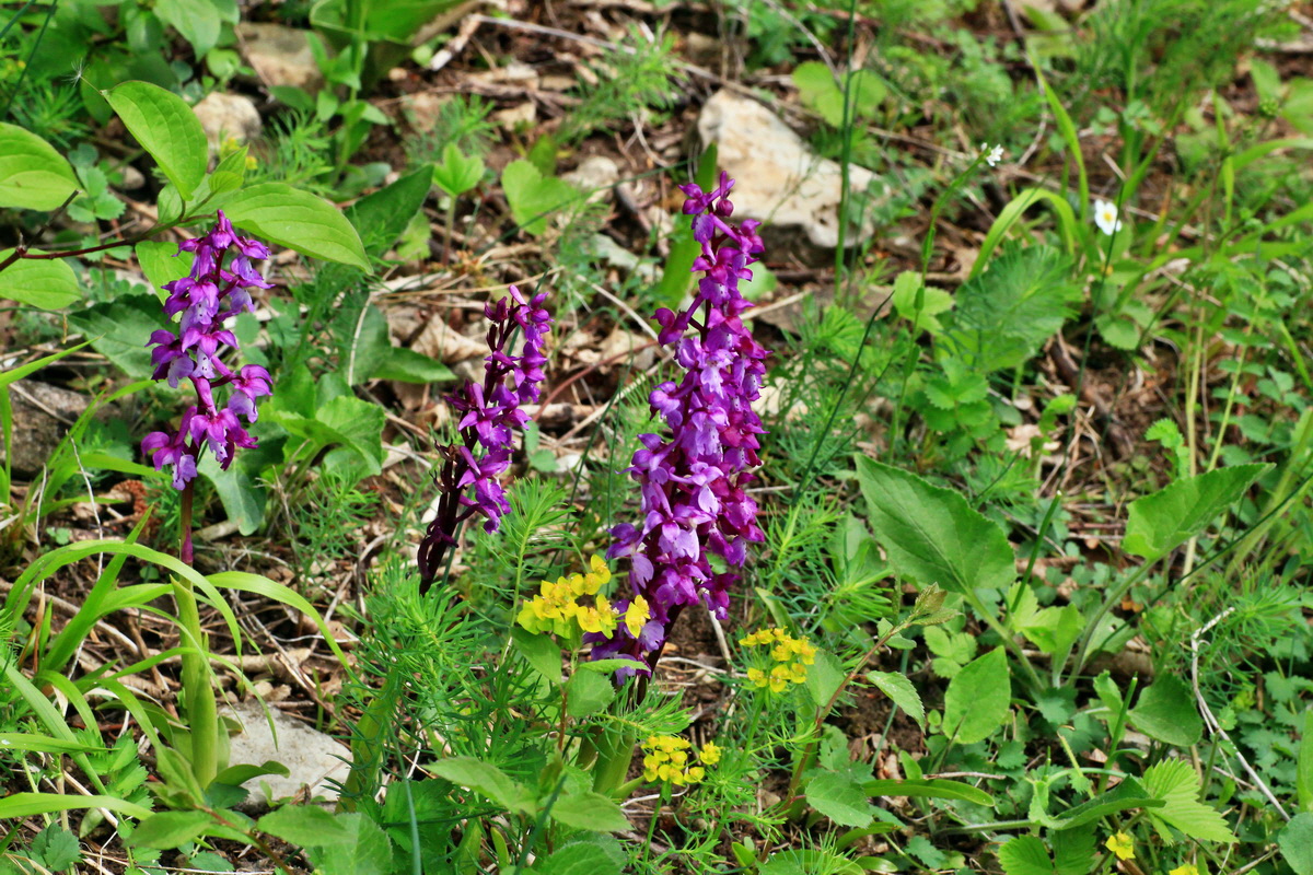 2015_05_09_00018992p_Bildgr��e �ndern